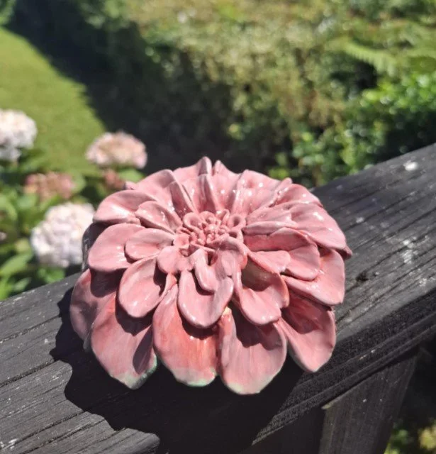 Small pink dahlia 2.jpg