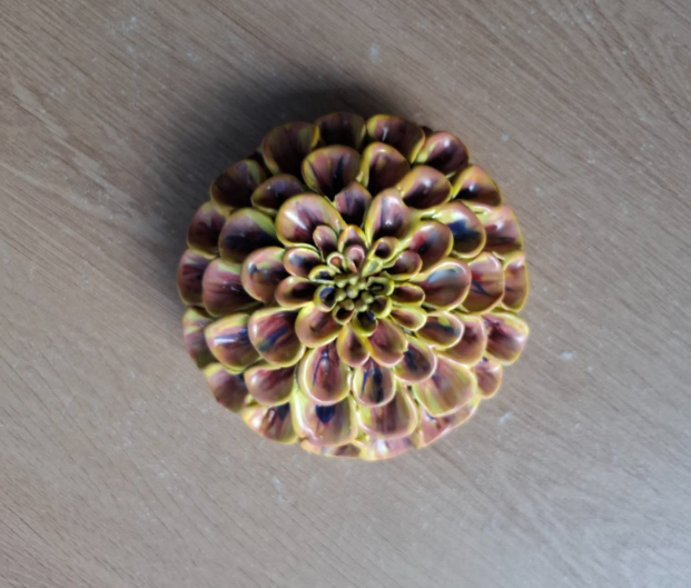 Yellow & mix colours pompom dahlia close.png