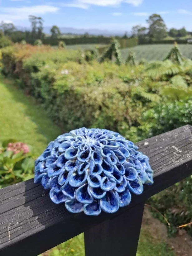 Blue pompom dahlia deck2.jpg