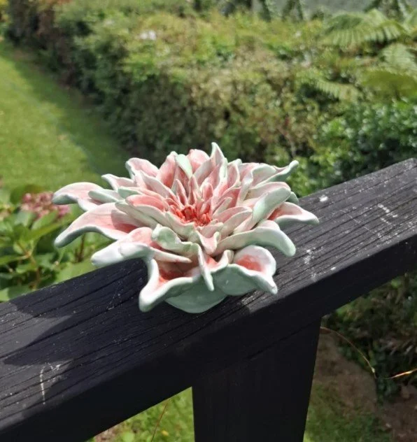 Spikey white, pink & green dahlia deck.jpg