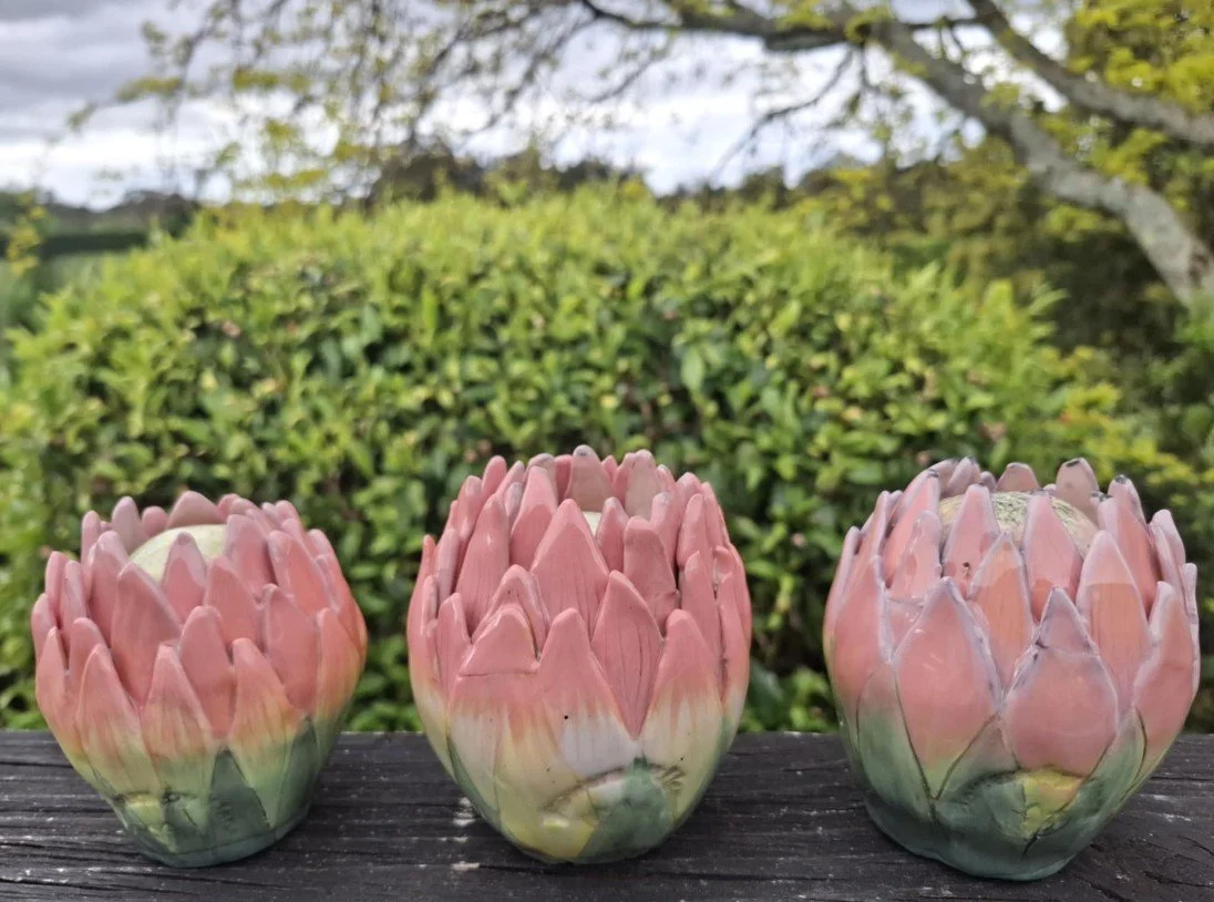 Pink Proteas outside.jpg