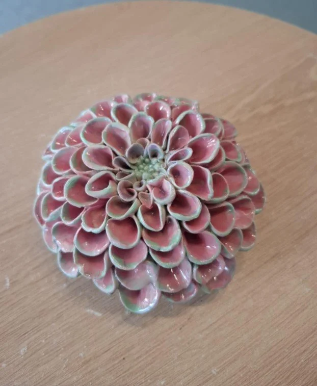 Pink & green pompom dahlia close.jpg