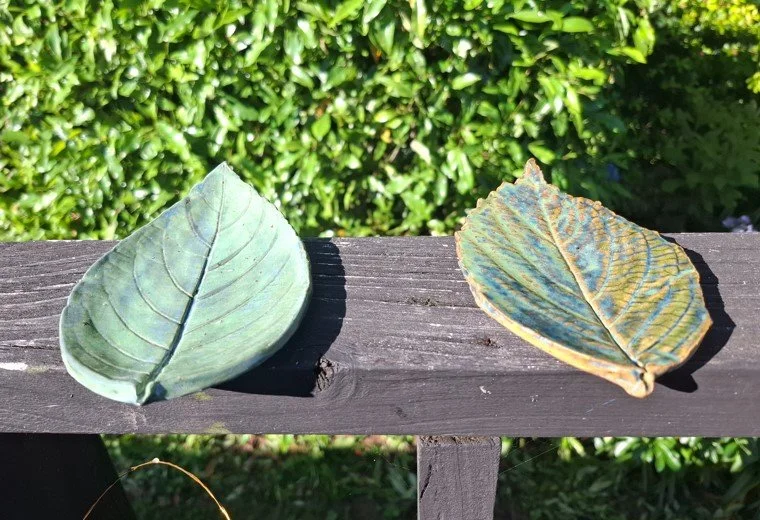 Green hydrangea leaves.jpg