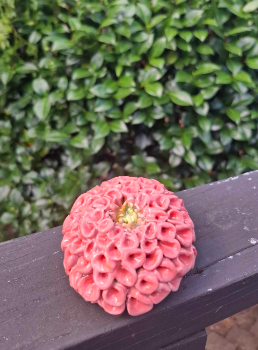 Small pink pompom dahlia.PNG