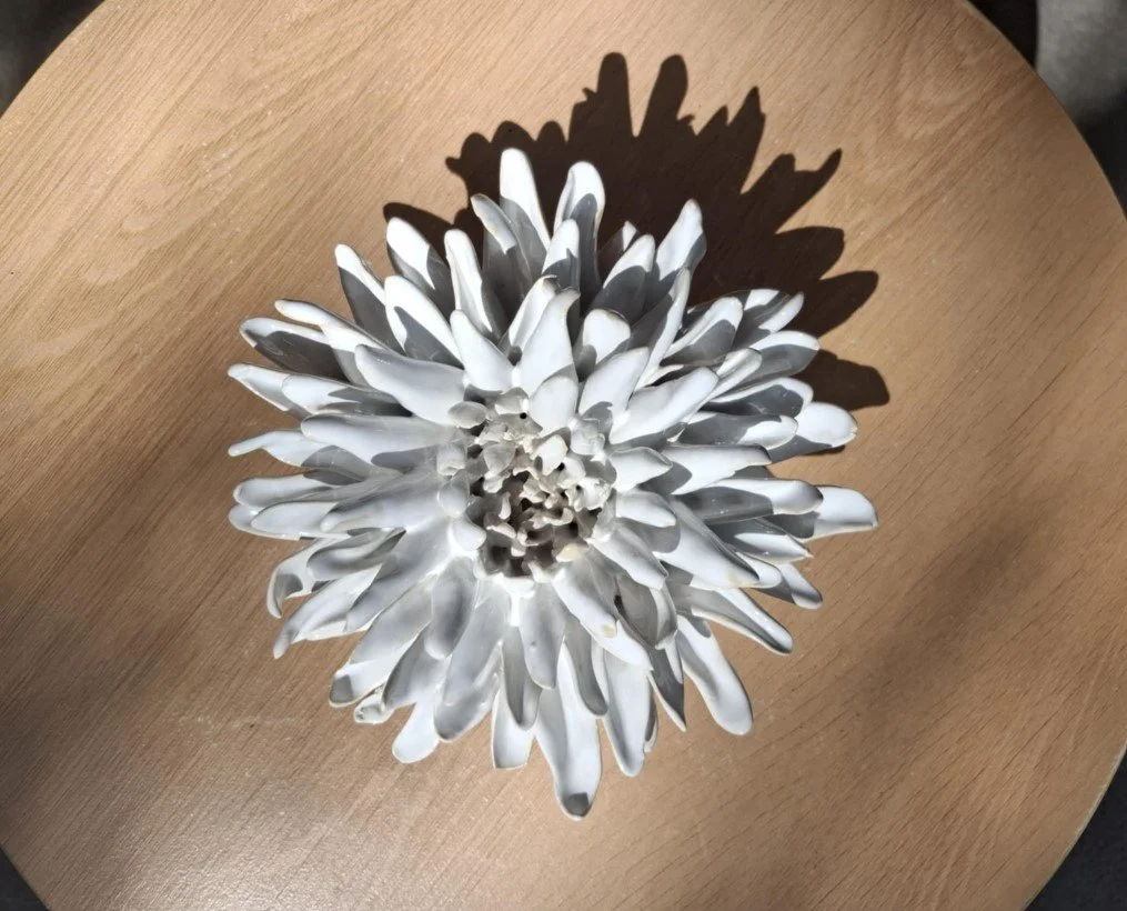 White spikey dahlia close.jpg