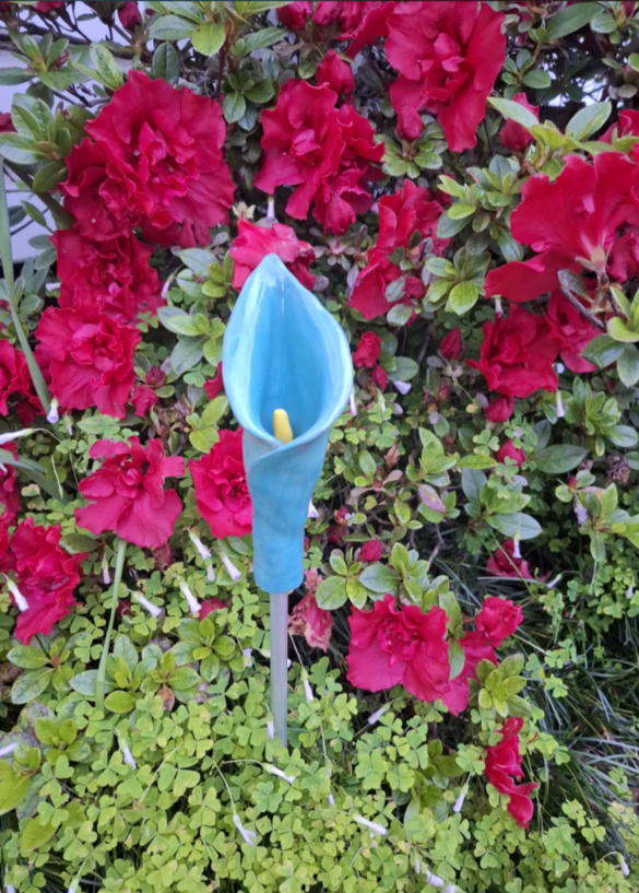 A decorative teal blue ceramic calla lily garden ornament among bright pink azalea flowers and green foliage. Each Calla Lily is hand made and hade painted by Liana then mounted on stake for vases, pots or the garden.