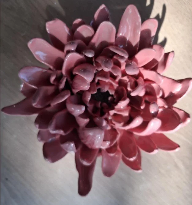 Pink spikey dahlia white centre close.jpg