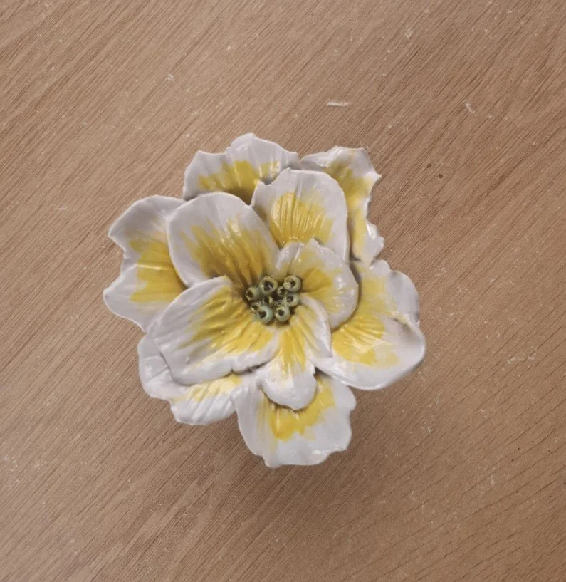 Yellow & white flower close.jpg