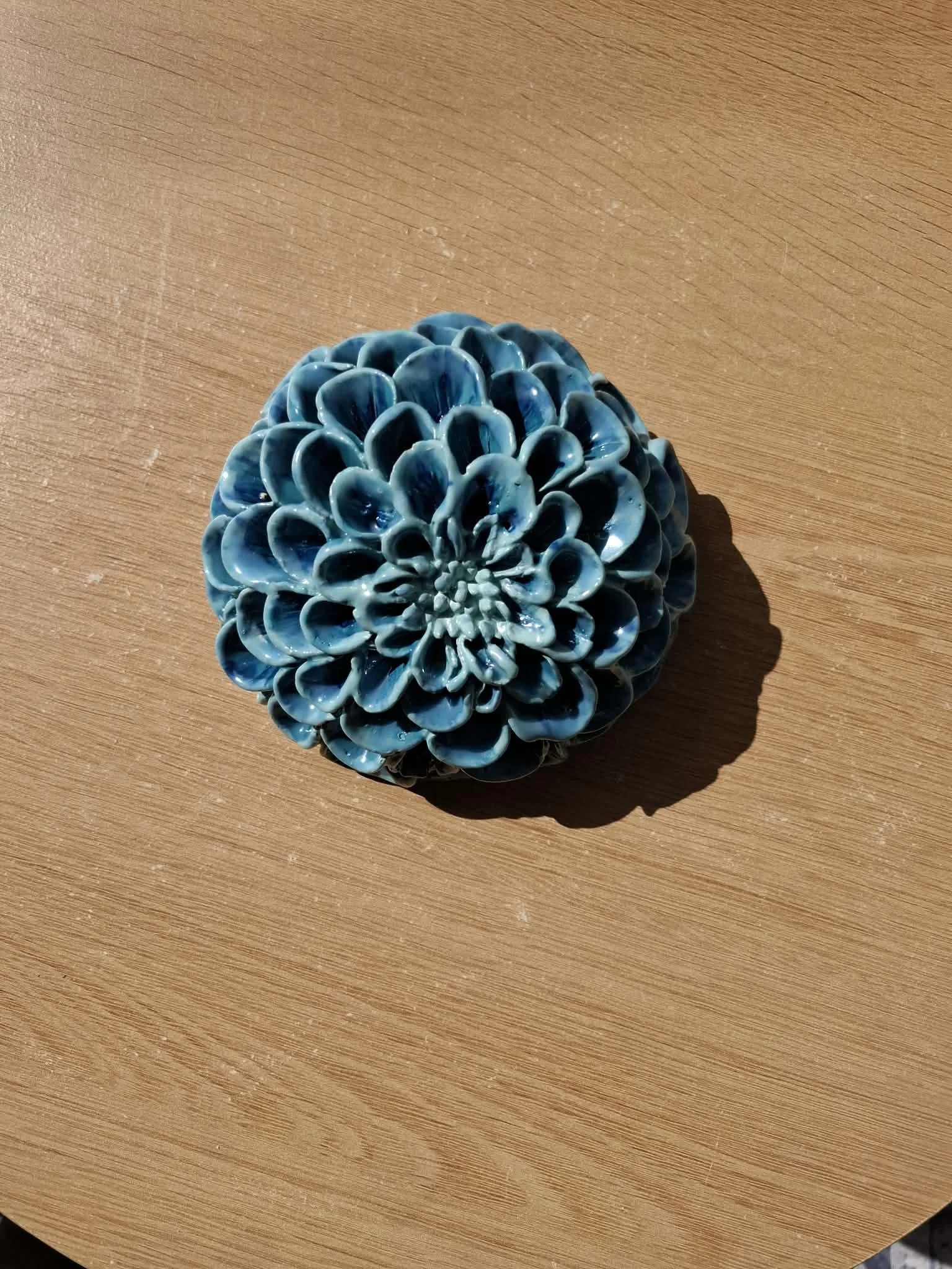 Teal Blue Variegated Pompom Dahlia Flower