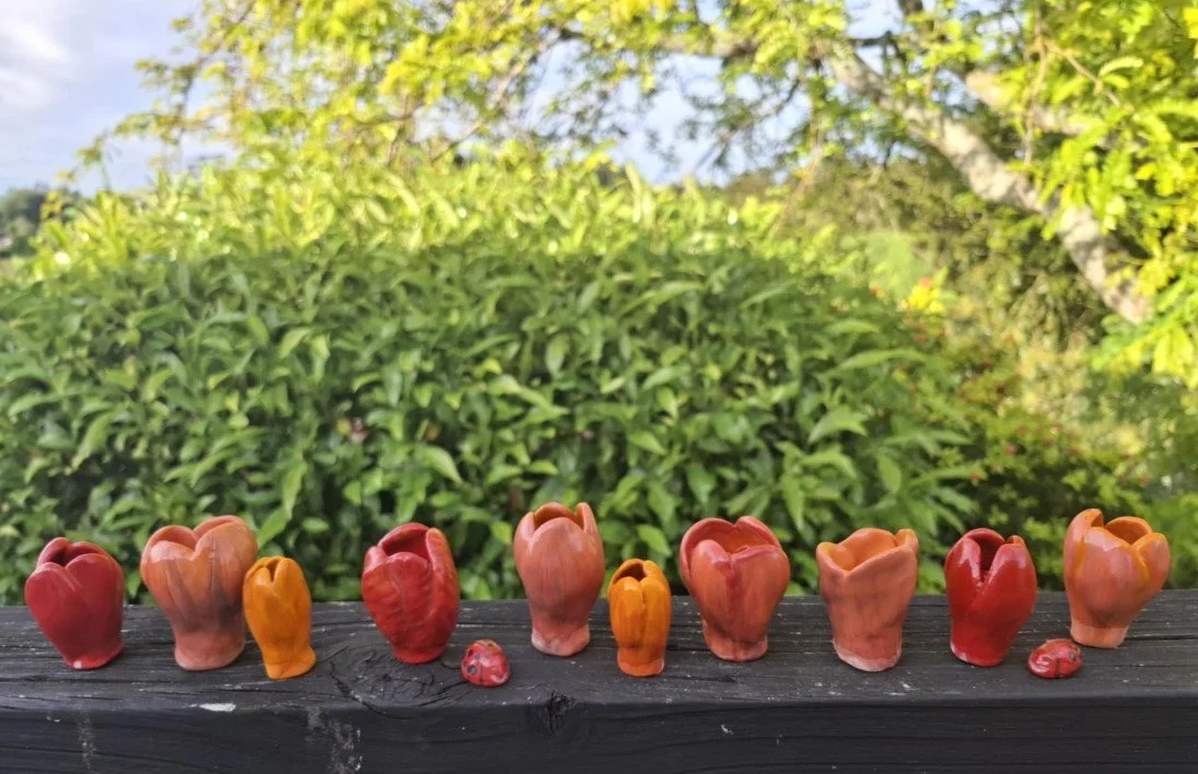 Tulips & LadyBugs deck.jpg