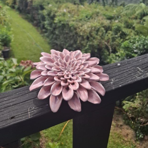Pink spikey dahlia with purple highlights deck.jpg