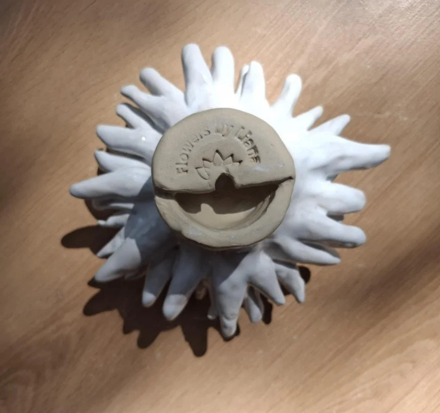 White spikey dahlia back.jpg