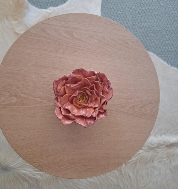 Pink and Orange Rose