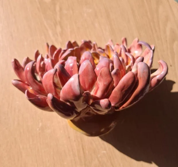 Large pink with purple spikey dahlia side.jpg