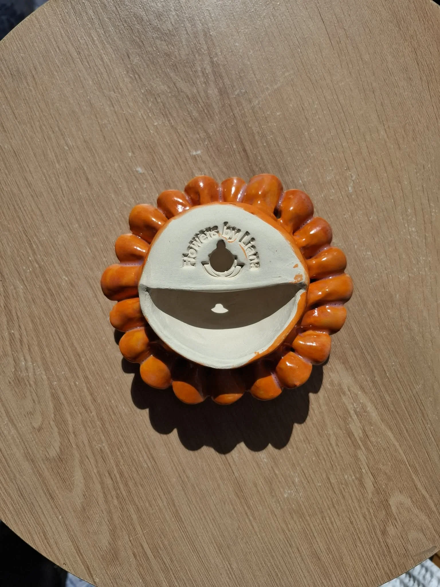 Bright orange pompom dahlia back.jfif