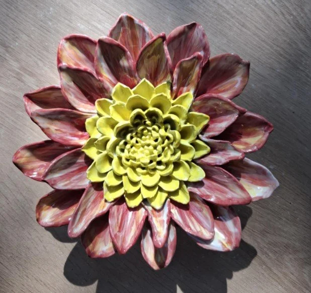 Yellow & stripey pink dahlia close.jpg