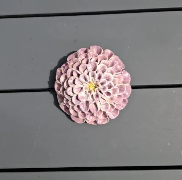 Purple pompom dahlia.jpg