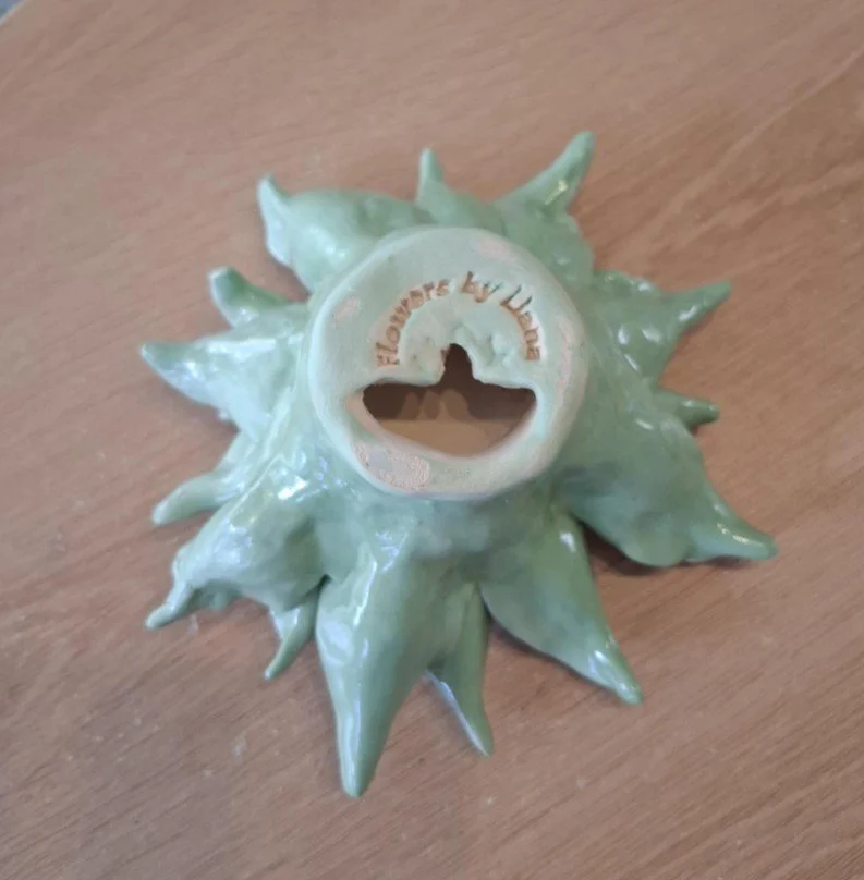 Spikey white, pink & green dahlia back.jpg