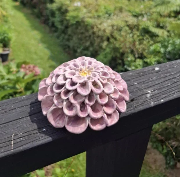 Purple pompom dahlia deck.jpg