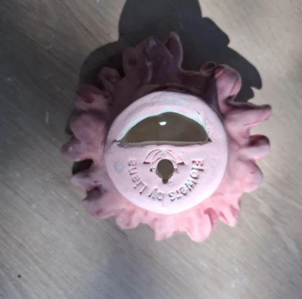 Pink spikey dahlia white centre back.jpg