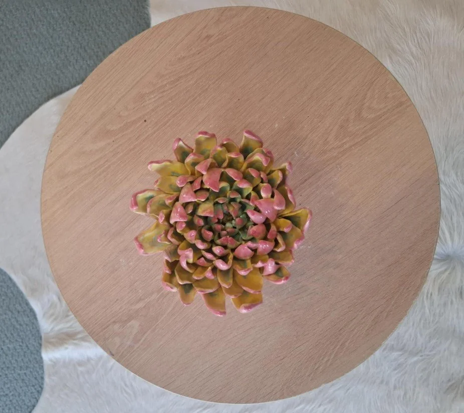 Large yellow & pink spikey dahlia.jpg