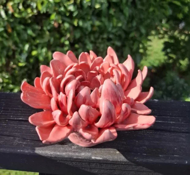 Sculptural Pink Spikey Petal Dahlia