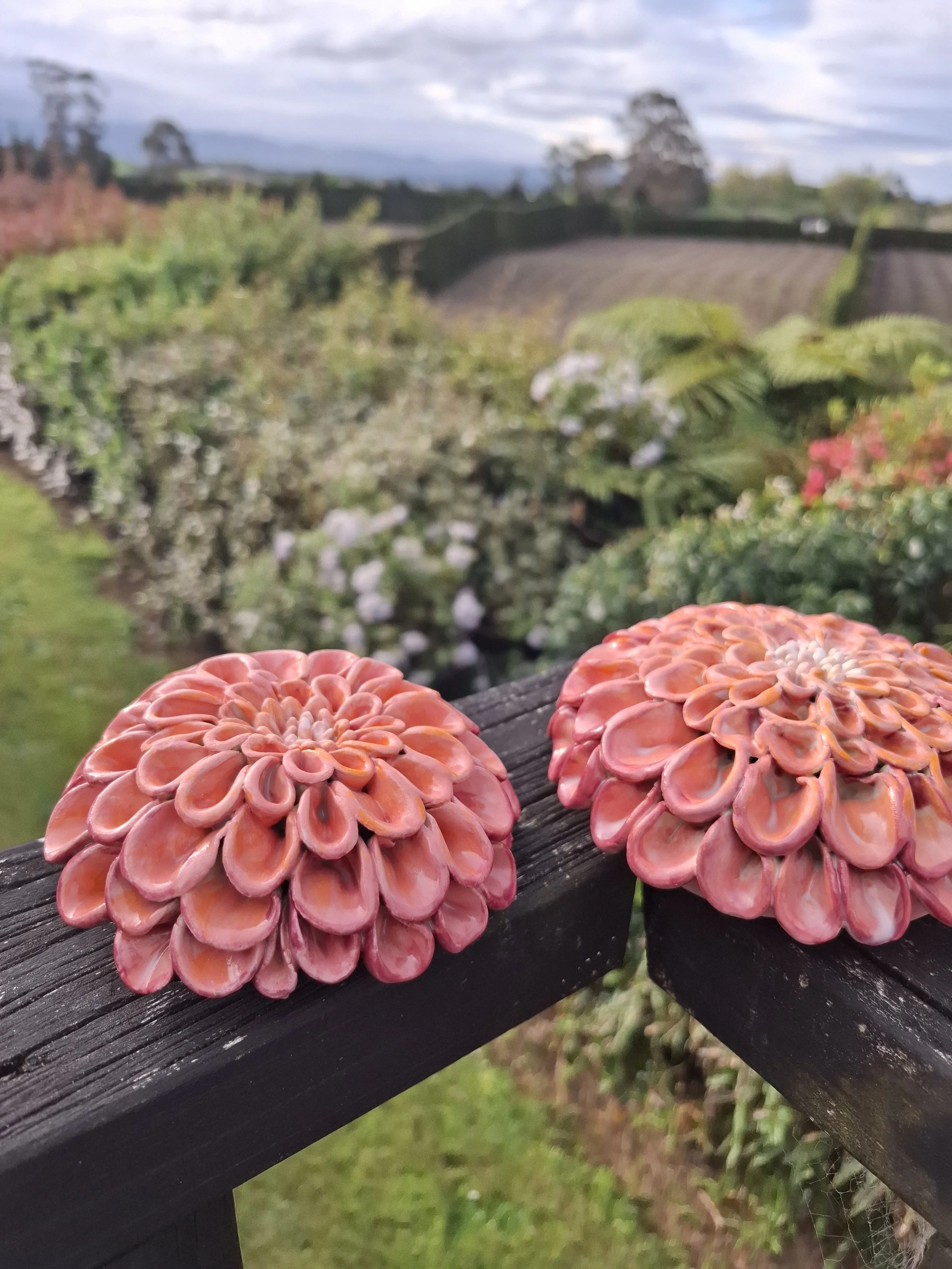 Coral Blush Dahlia Ceramic Wall Flower Collection