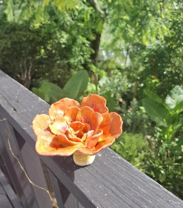 Peachy orange flower for stake sun.jpg