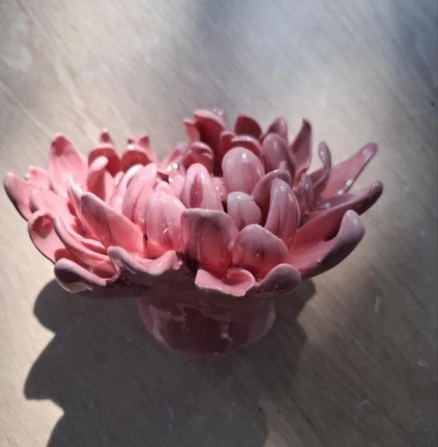 Pink spikey dahlia white centre side.jpg