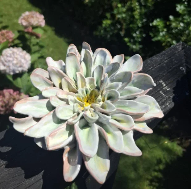 White spikey petal dahlia