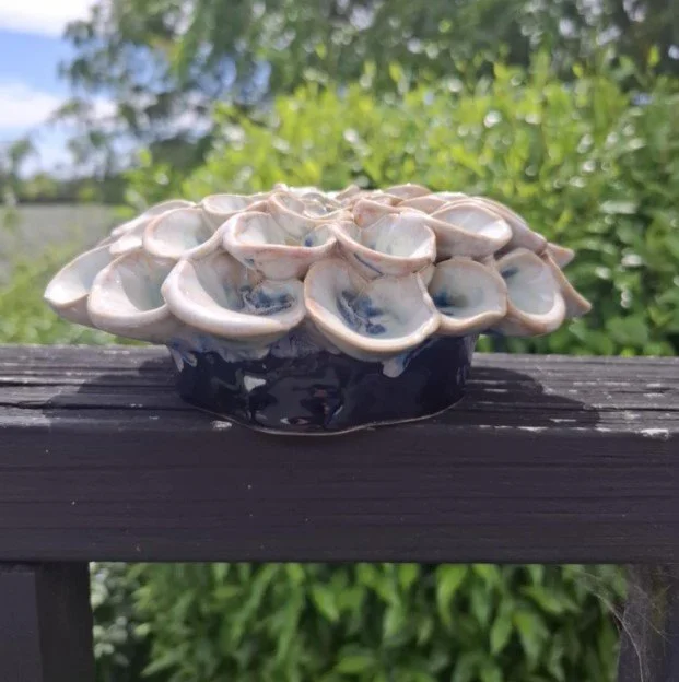 Honey & Kimchi over obsidian dahlia rail.jpg