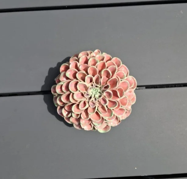 Pink and Green Pompom Dahlia