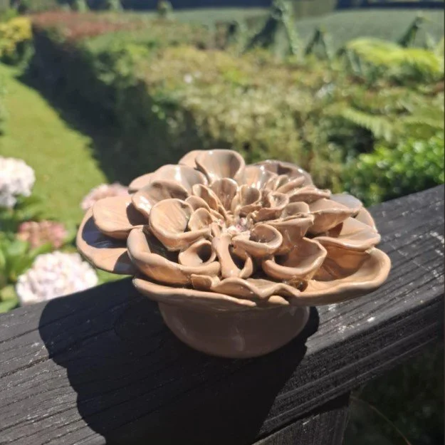 Pink & Green wide petal dahlia