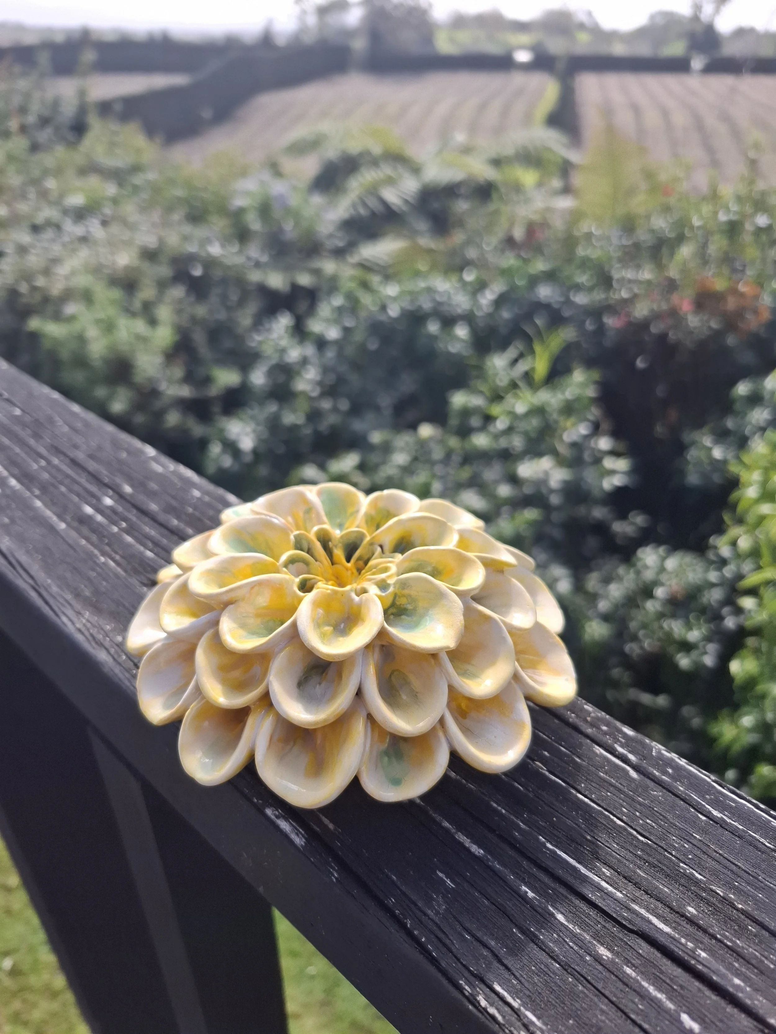 Yellow & Green Pompom Dahlia deck.jpg