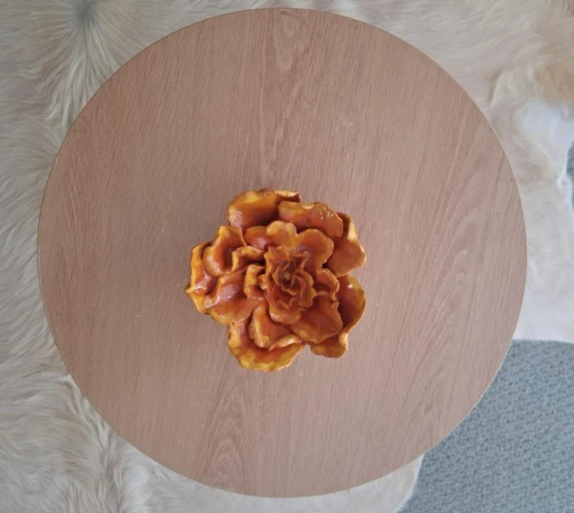 Orange flower for garden.jpg