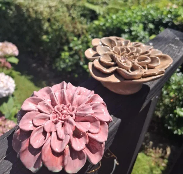 Small pink & brown dahlia sidebyside.jpg