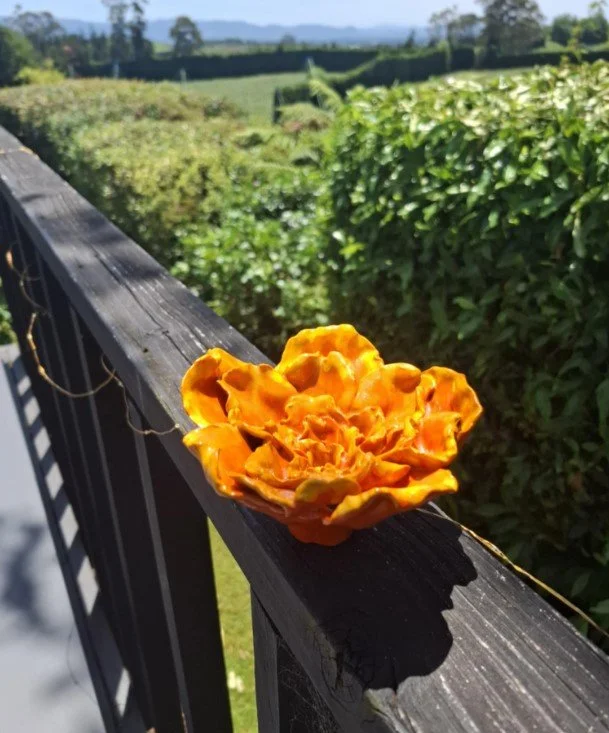 Orange flower for garden deck.jpg