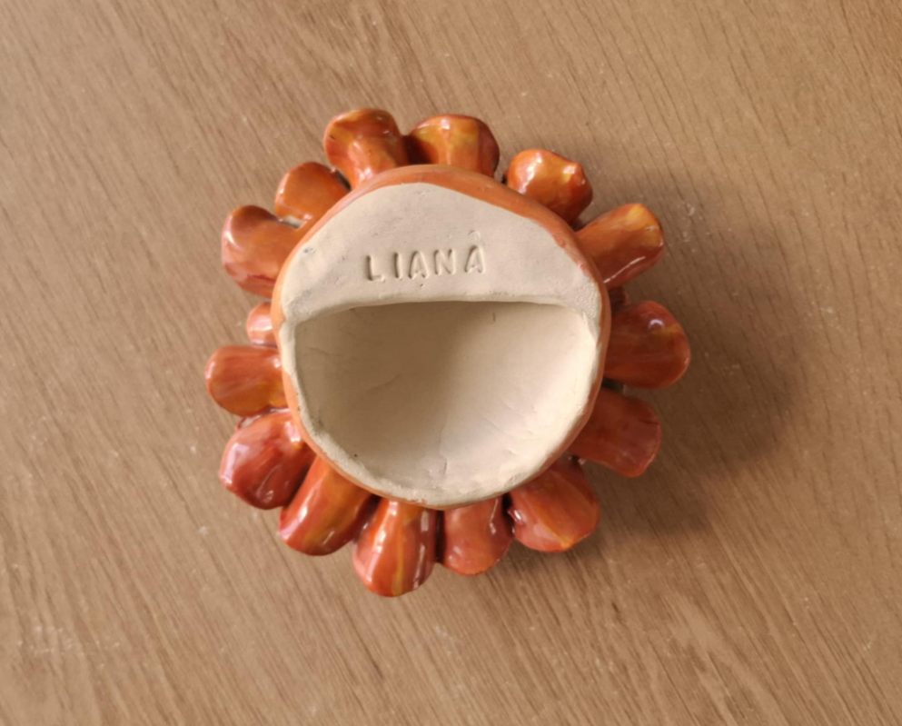 Pink and orange dahlia back.png