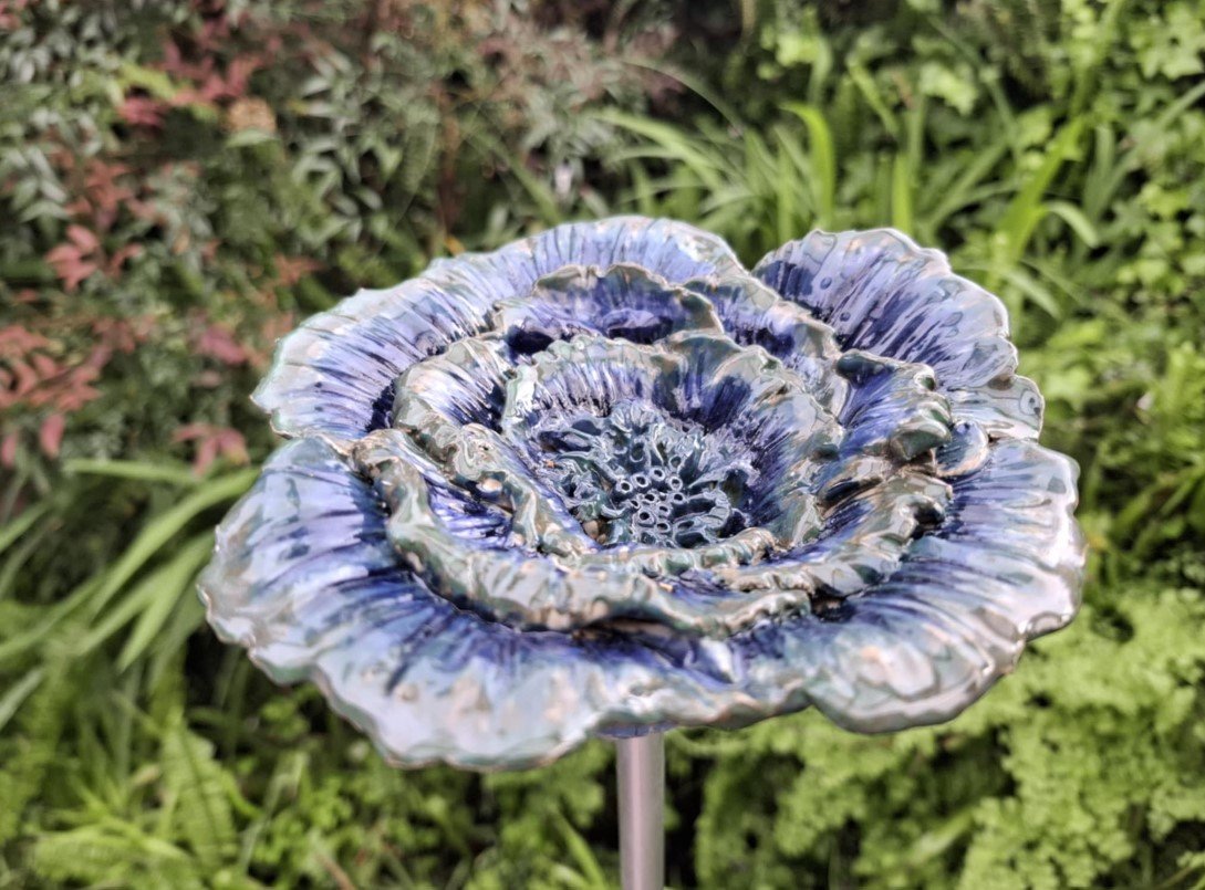 Blue & green flower in garden.jpg