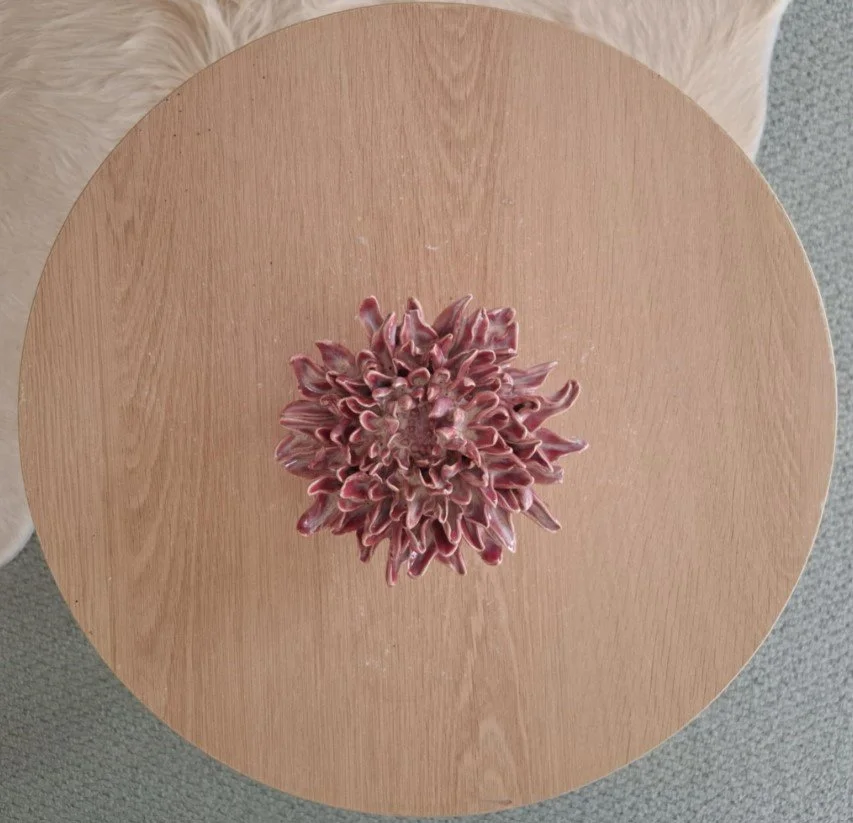 Pink Blossom spikey Dahlia