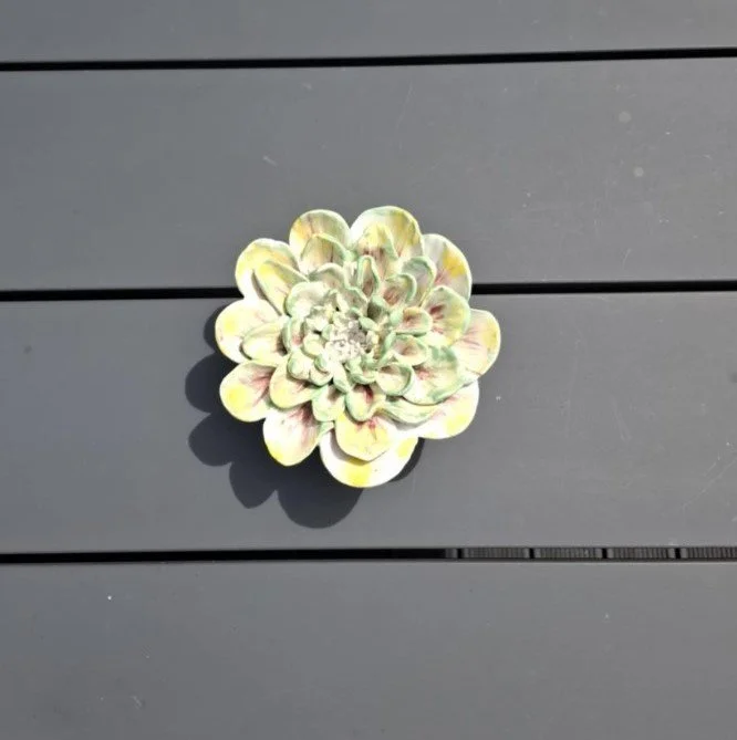 White green and yellow dahlia outside table.jpg