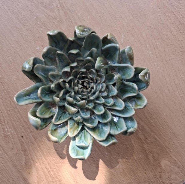 Large turquoise & green spikey dahlia close.jpg