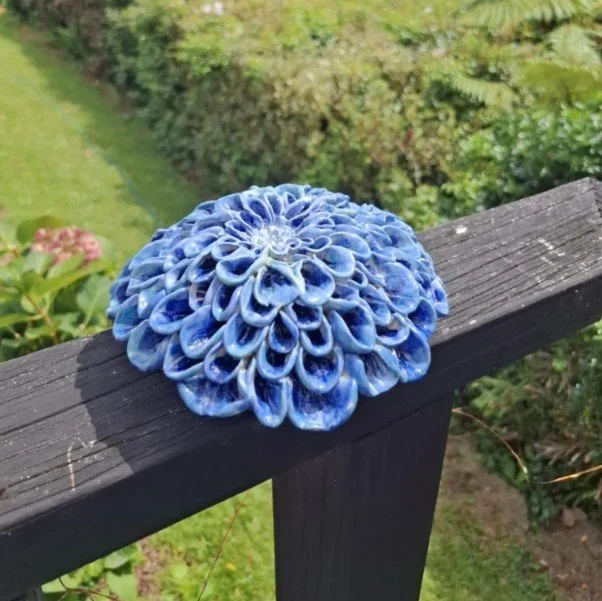 Blue pompom dahlia deck.jpg