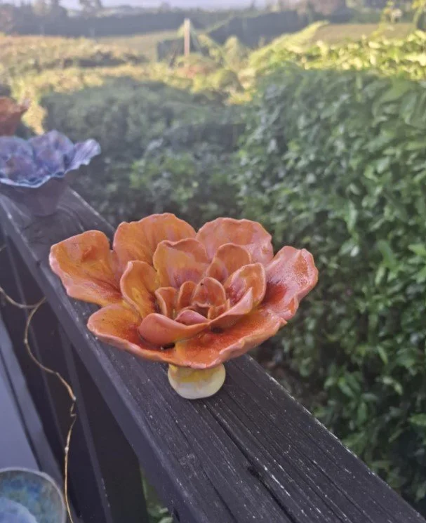 Peachy orange flower for stake deck.jpg