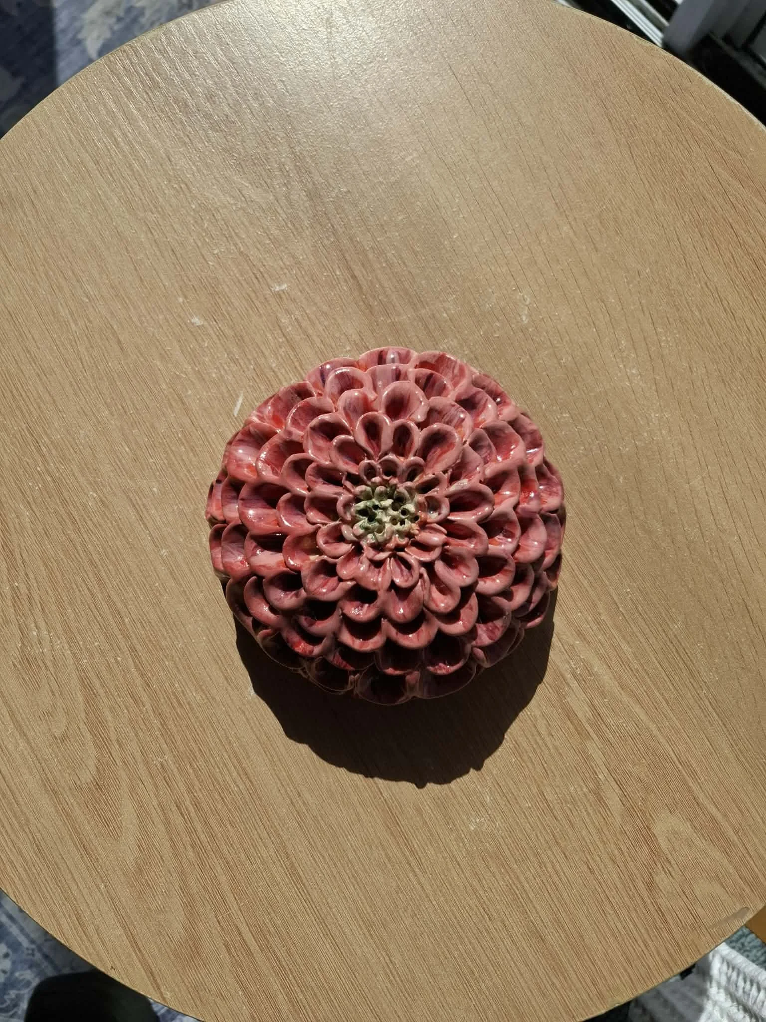Dark Pink Pompom Dahlia