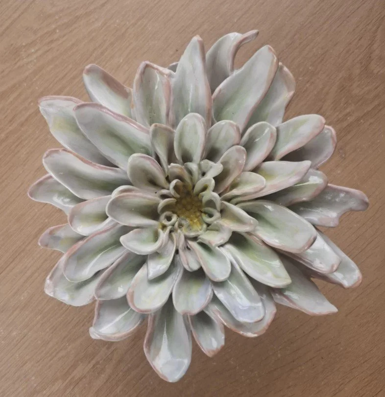 White pink and green spikey dahlia close.jpg