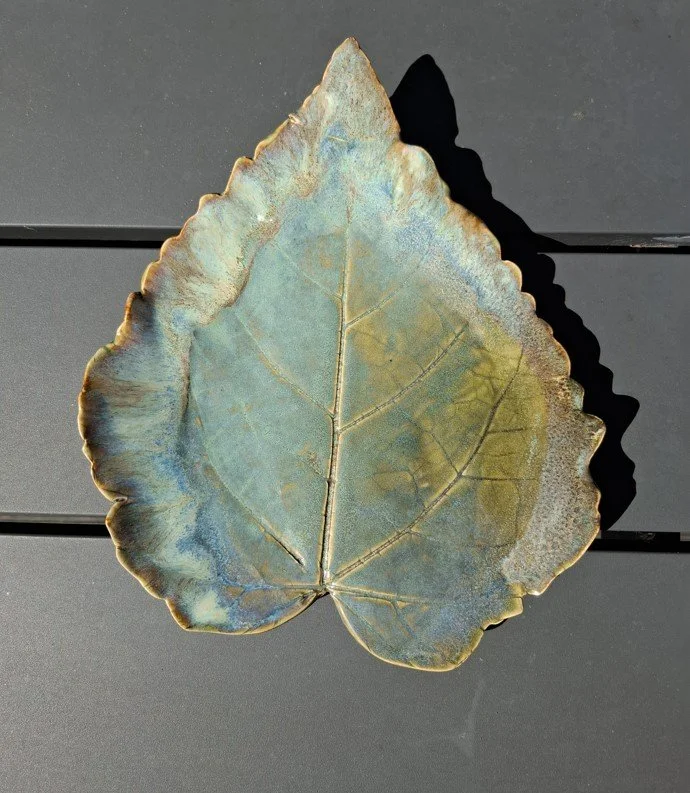 Muted green wondertree leaf.jpg