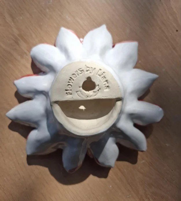 Yellow & stripey pink dahlia back.jpg