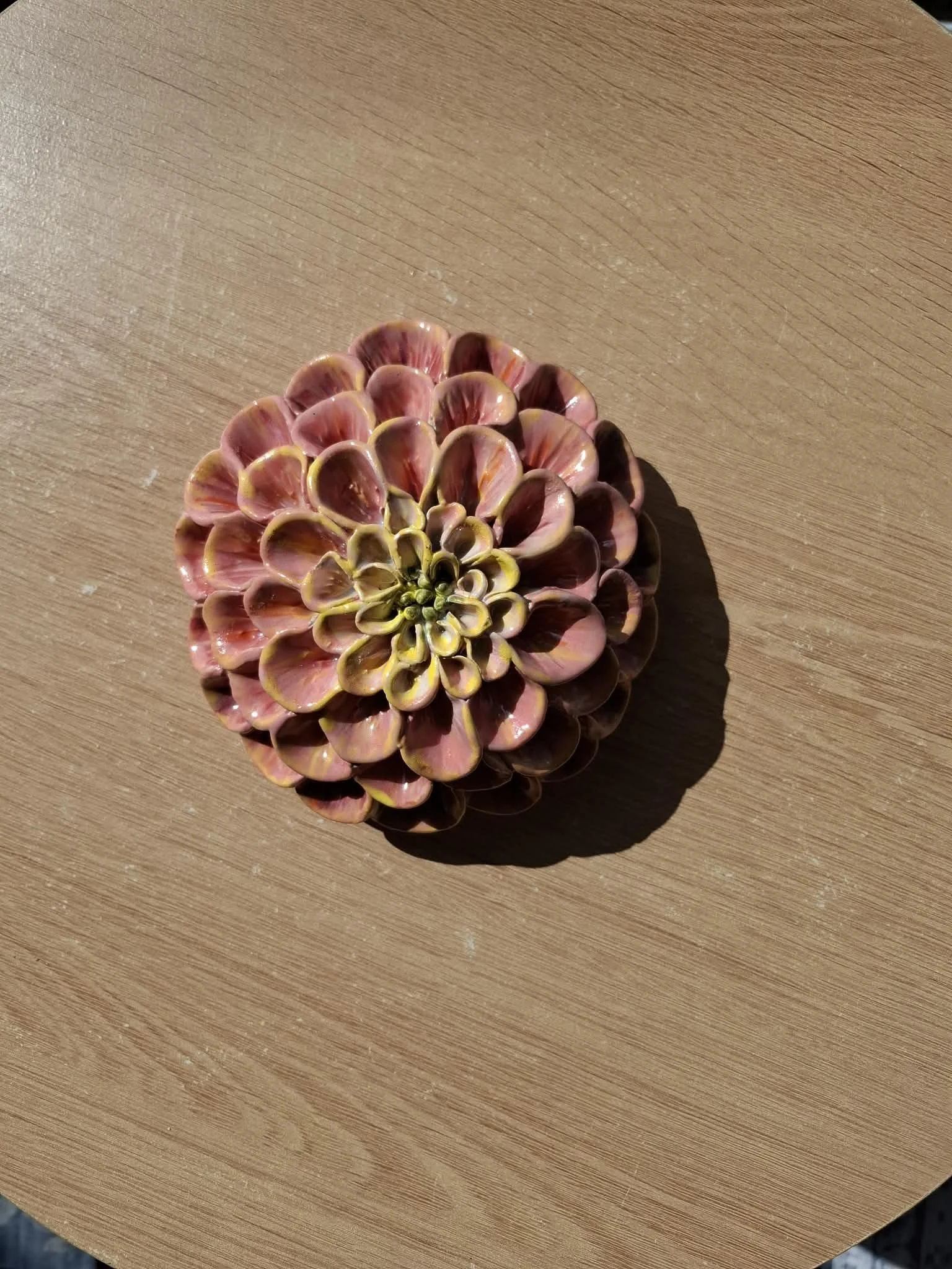 Bright Pink and Yellow handpainted Pompom Dahlia