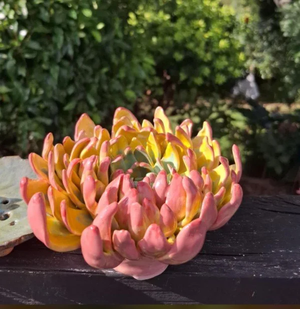 SOLD - Vibrant Spikey Petal Dahlia Sculpture